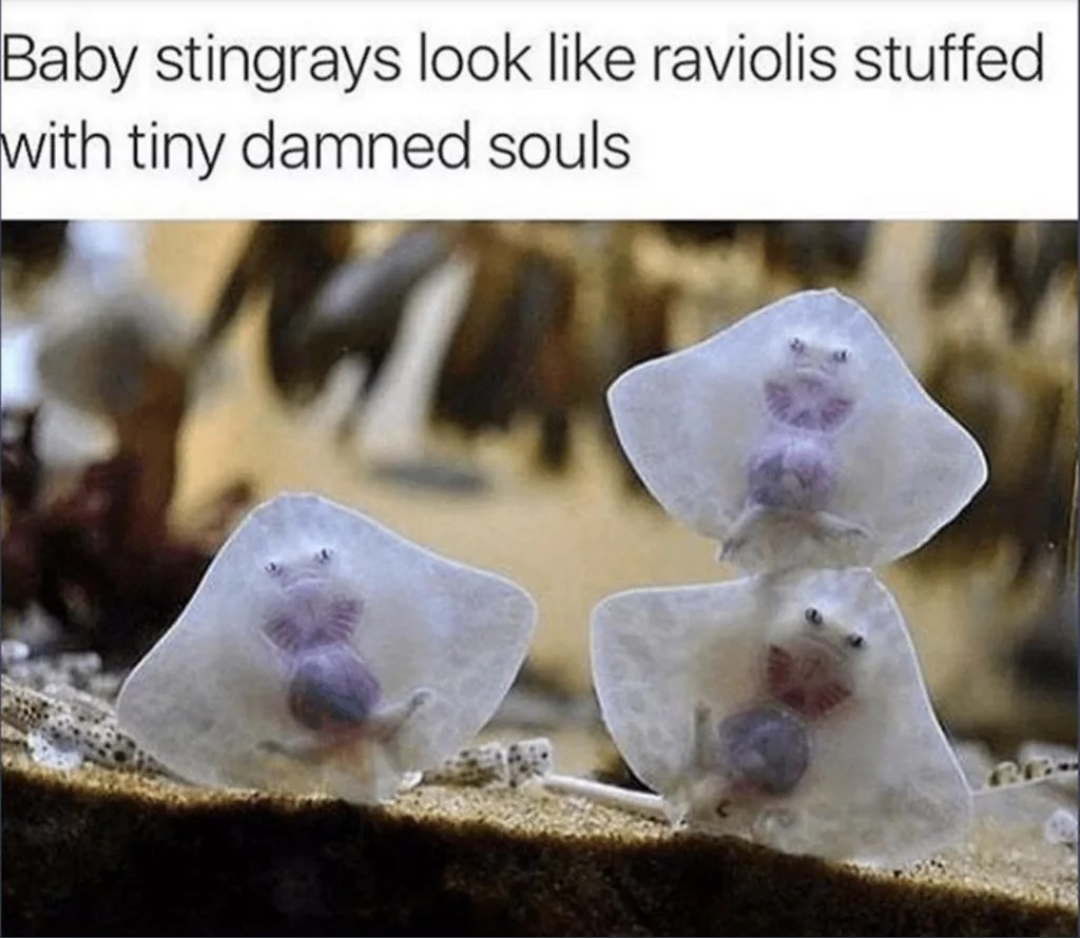 ravioli souls