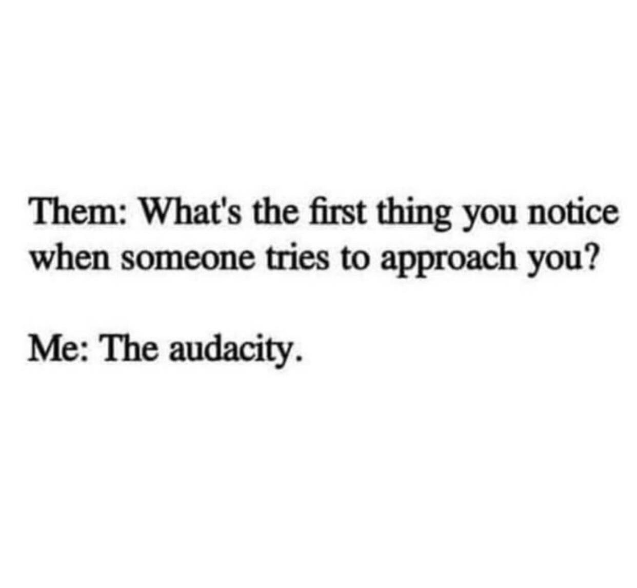 the audacity