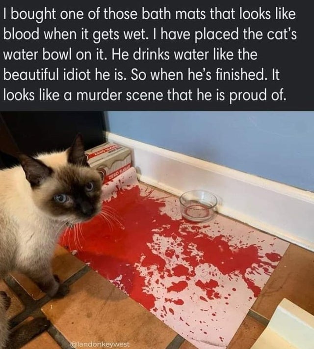 the blood of his enemies