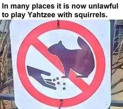 squirrels love yahtzee