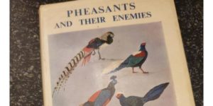 pheasants and their enemies