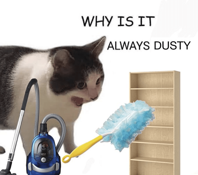 all we are is dust on the shelf