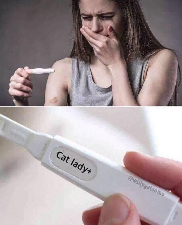 congratulations, you're gonna be a cat lady!
