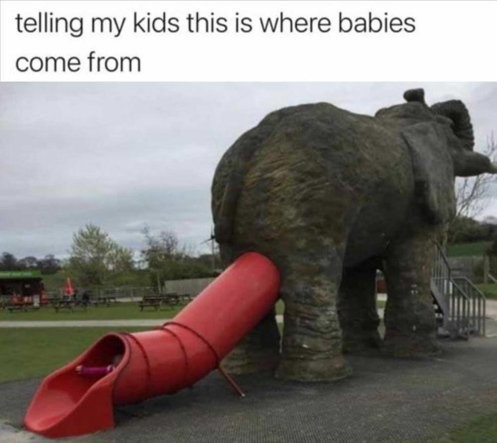 is this where babies come from?