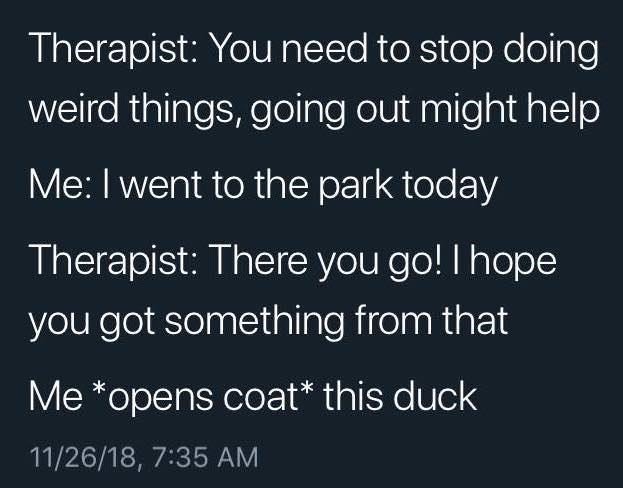 i got this duck