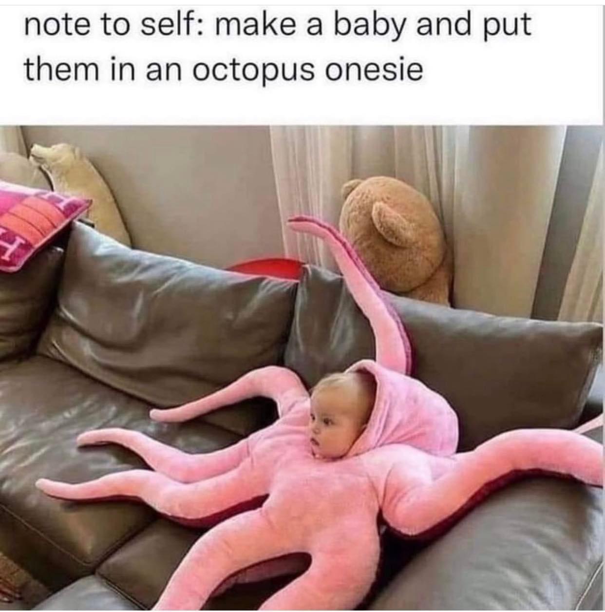 octo-baby