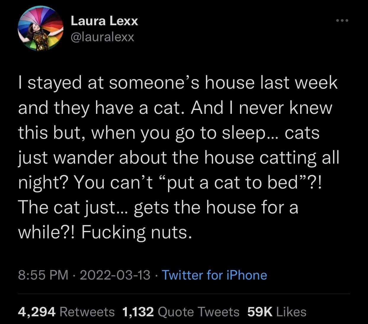 What did OP think cats do at night?