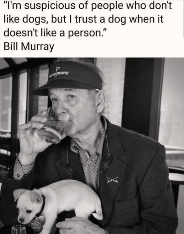 same bill murray, same