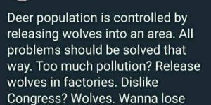 dislike congress? wolves