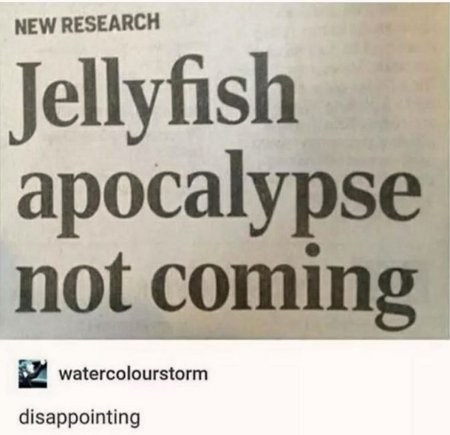 it was the only apocalypse i was looking forward to, too