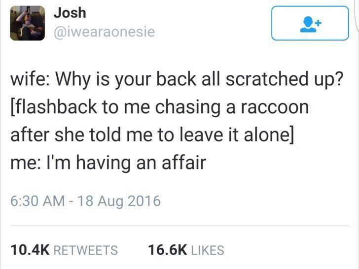 an affair with the raccoon