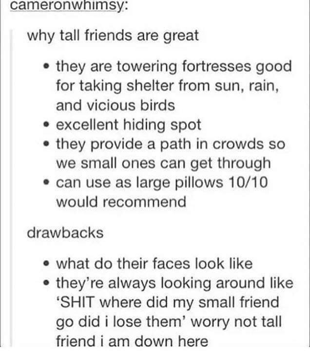 pros and cons of tall friends