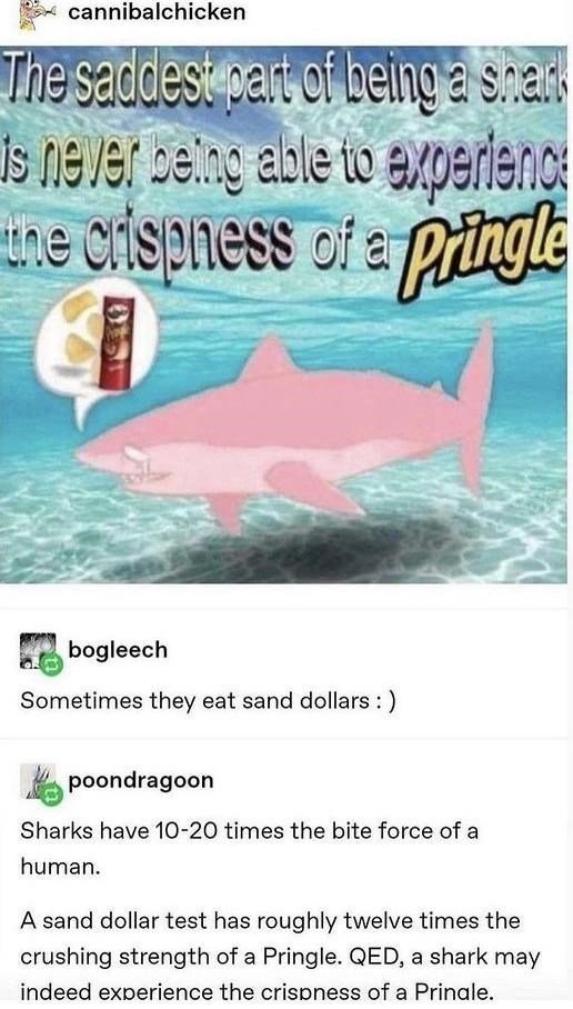 Sharks love pringles