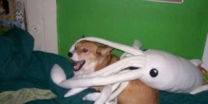 NOOOO!!