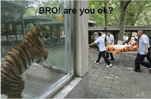 Bro! Are you ok?