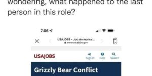 what happened to last grizzly bear conflict manager?