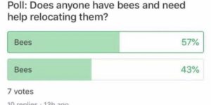 where would you like your bees moved to?