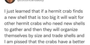 crab housing market