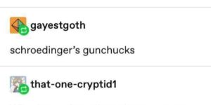 schroedinger’s gunchucks