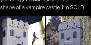 Will go great with my human house in the shape of a castle