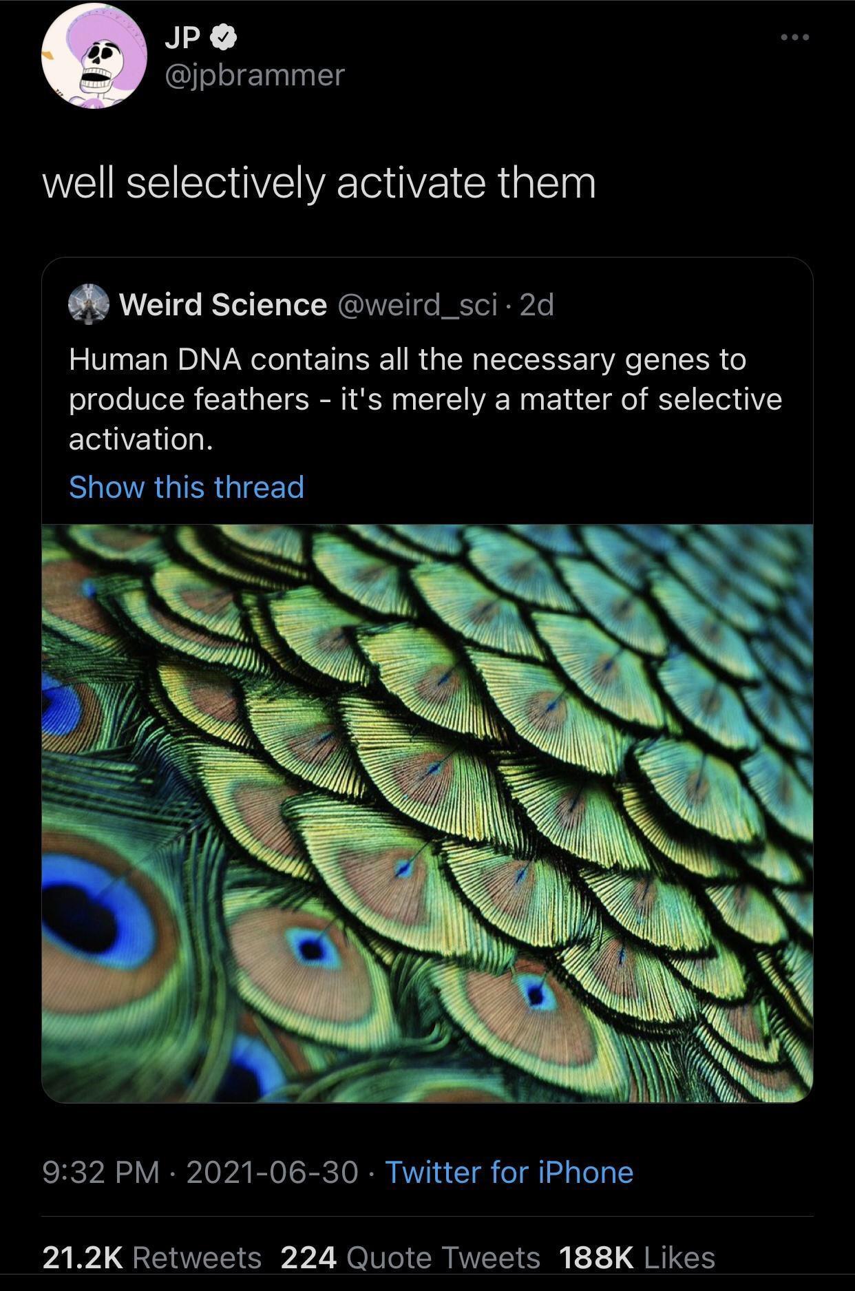 humans-can-have-feathers