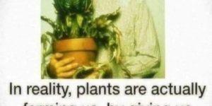 we are all just plant food