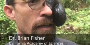 professor snail