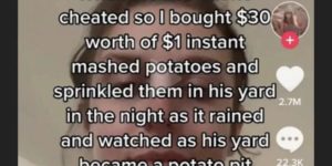 revenge potato pit