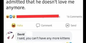 it’s the same thing, david