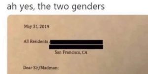 the two genders
