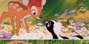 bambi in real life