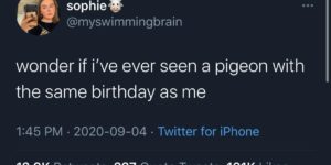 birthday pigeon