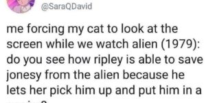 cat watching alien