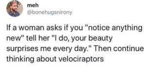 Always thinking about velociraptors