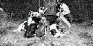 dog school 1929
