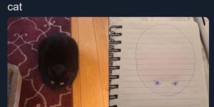 poorly drawn cat