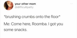 roomba snacks
