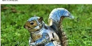 squirrel night in shining armor