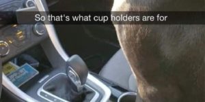 that’s what cup holders are for