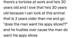 tortoise wants appy slices