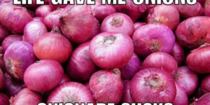when life gives you onions…