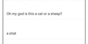 cat sheep hybrid is called a what now?