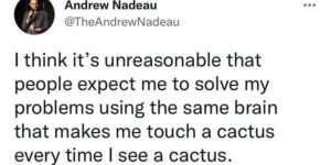 always touch the cactus