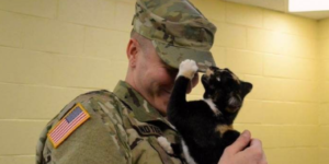 he went to the shelter to adopt a dog and ended up being chosen by a cat