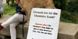 benzene the chemistry dog