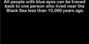 blue eye origins