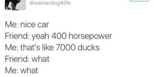 duck power