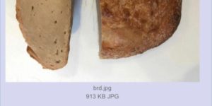 sad+bread+fail