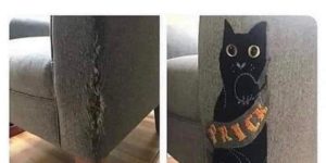 how to fix your couch after your cat ruins it