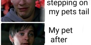 how you react to stepping on your pet vs how they react to stepping on you